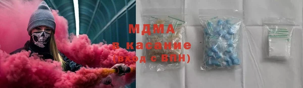 молекула духа Богданович