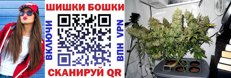 Бошки Шишки THC 21% Кинешма
